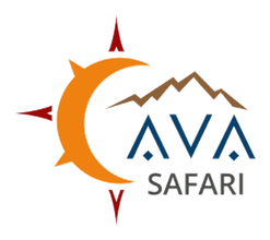 AVA Safari